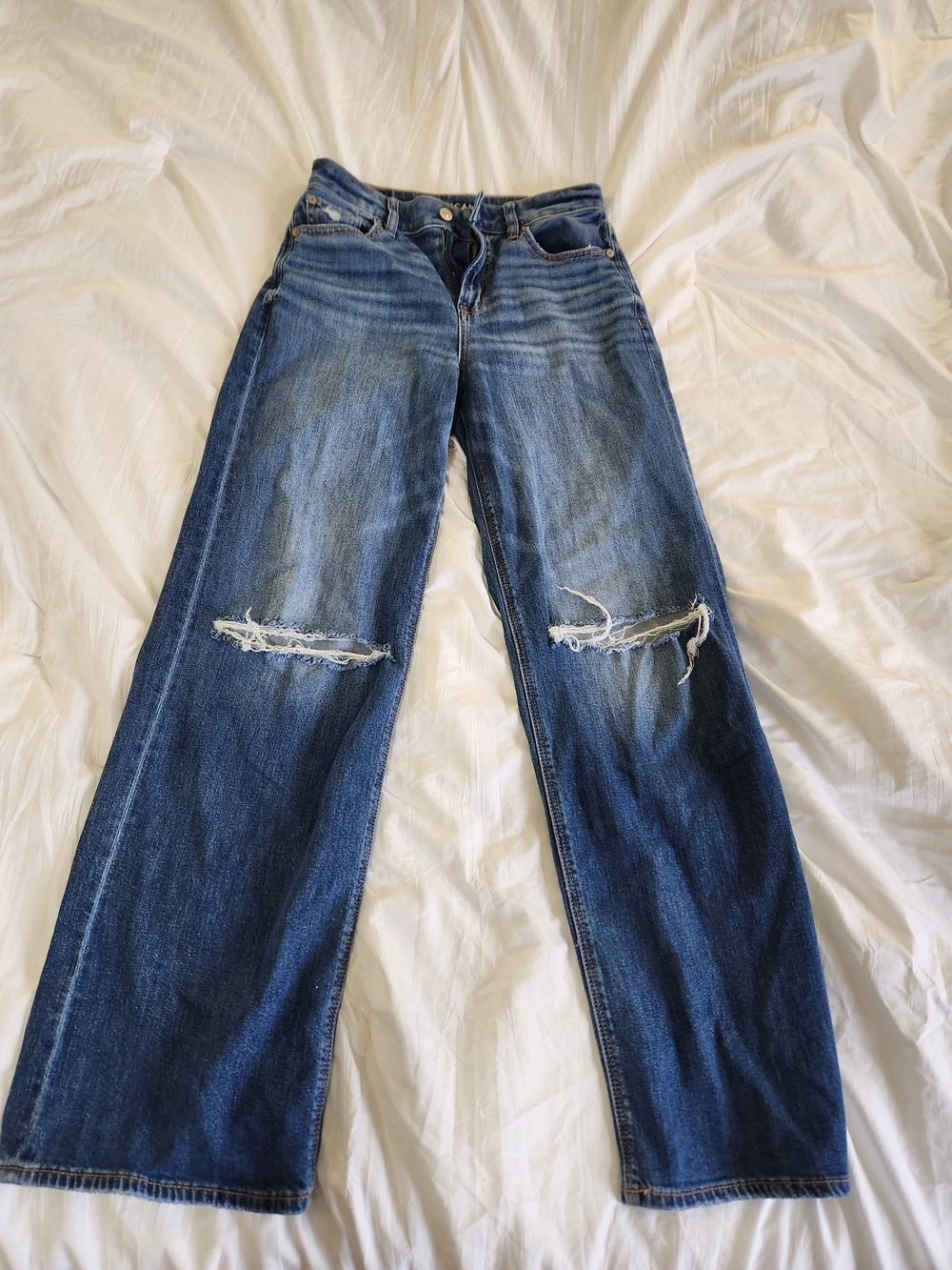 American Eagle Outfitters Distressed Wide Leg Jeans in Blue